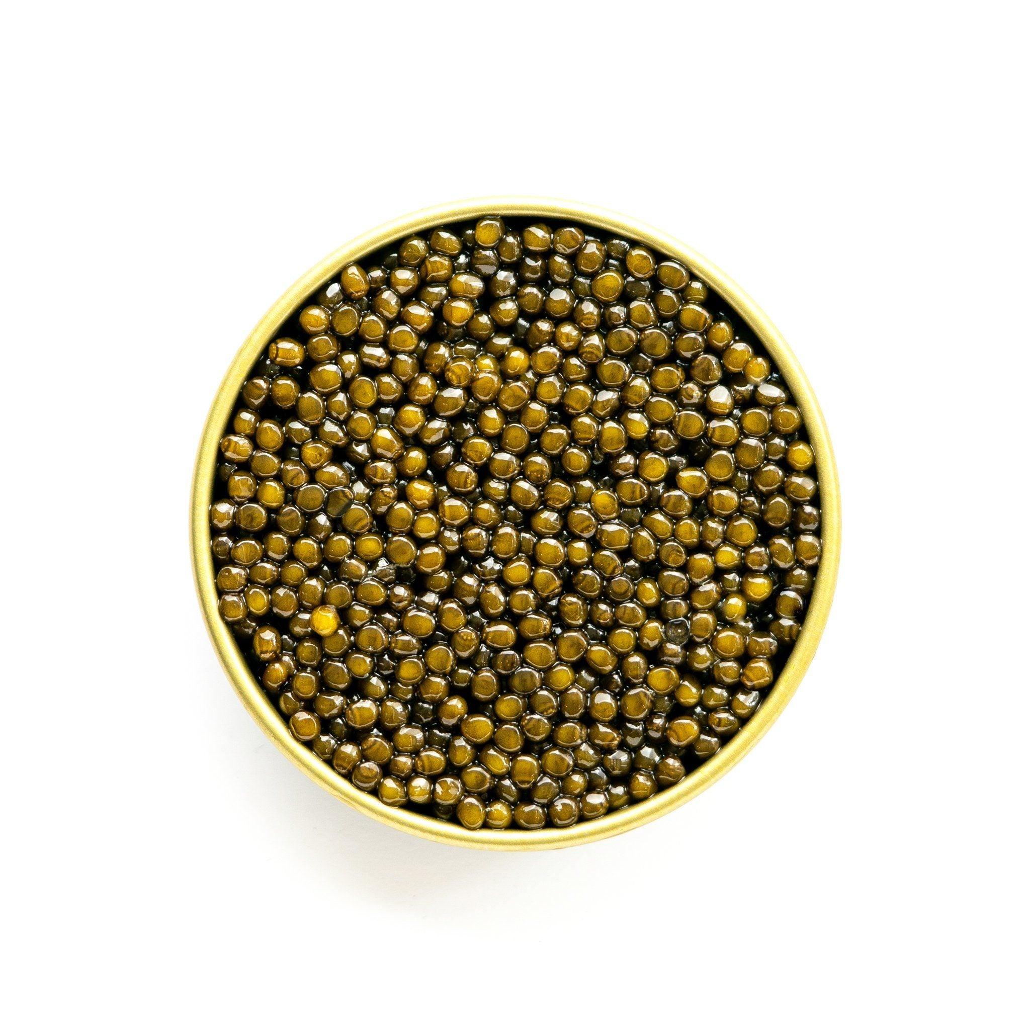 Special Edition Harwell Godfrey Imperial Golden Osetra Caviar - Image 7